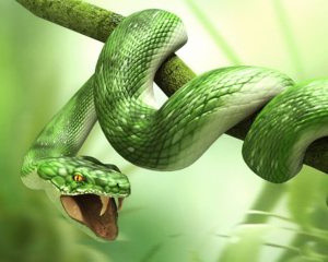 3d_animals_-_Snake