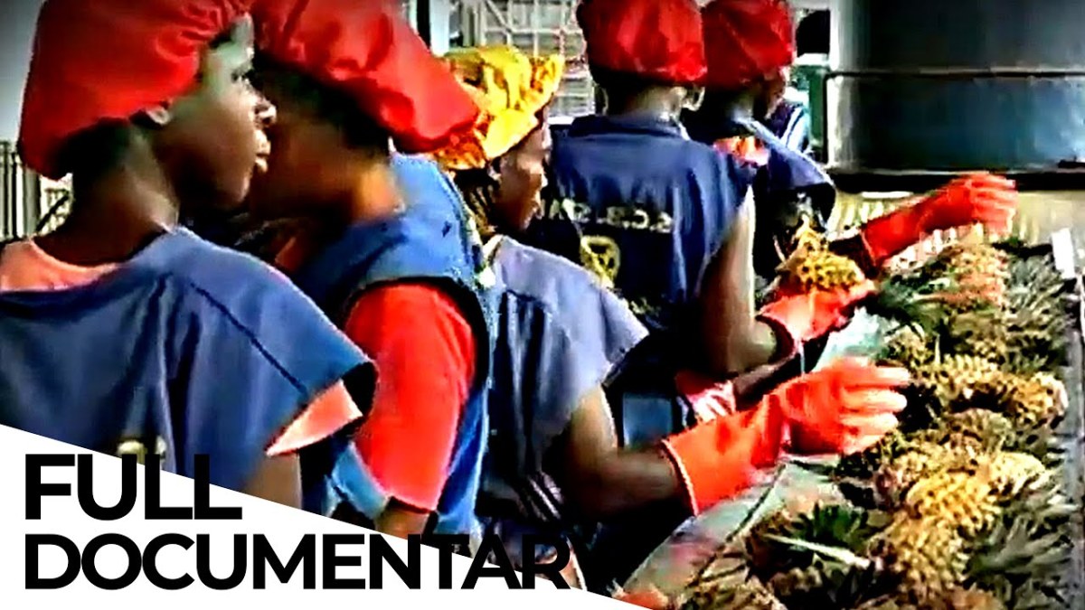 Food Globalization: The Truth Behind Cheap Food | ENDEVR&nbsp;Documentary